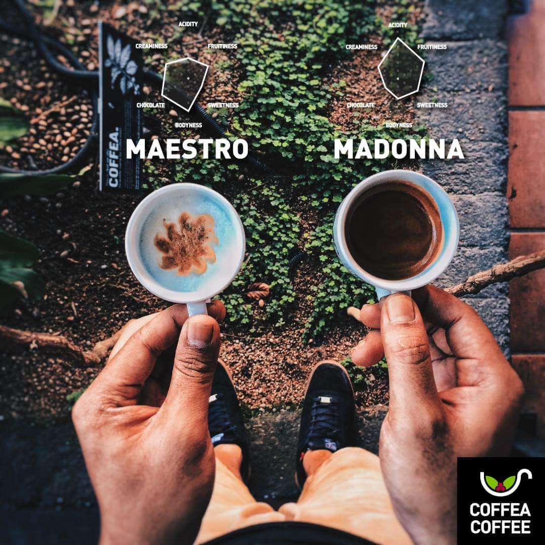 Choose your fighter – Maestro or Madonna? Coffea Coffee