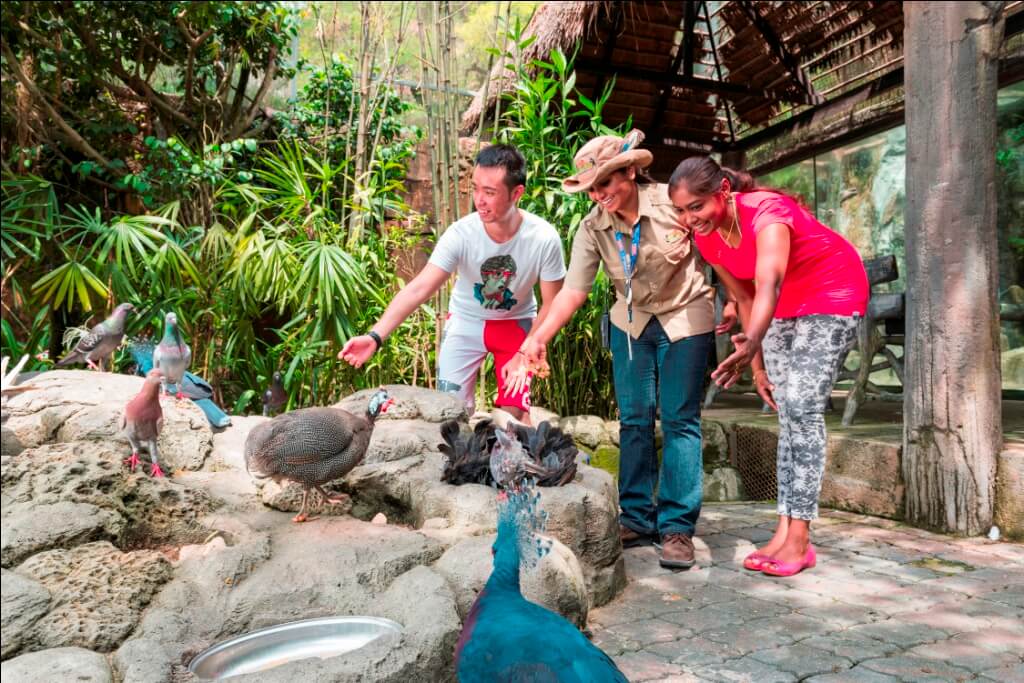 Get up close and personal with more than 150 species of animals from around the world at the Sunway Lagoon Wildlife Park.