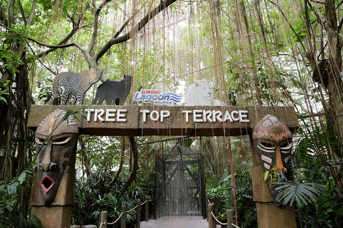 Meet Panthera Pardus, or the black panther, deep inside the rainforest of the Tree Top Terrace, Sunway Lagoon