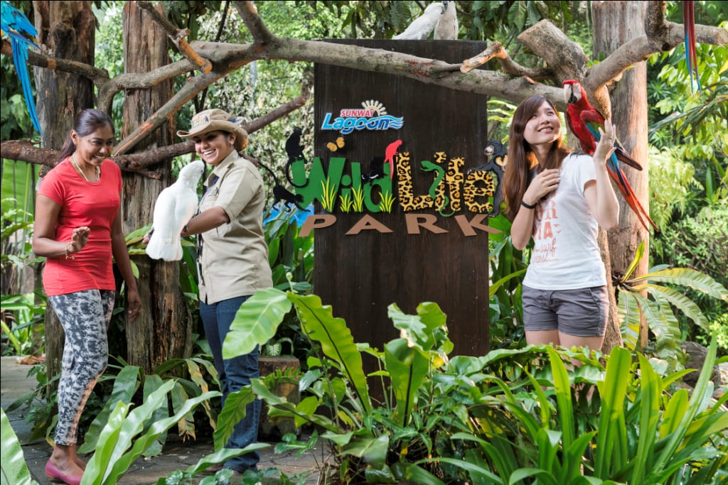 Explore and interact with our various species of wildlife animals at Sunway Lagoon Wildlife Park!
