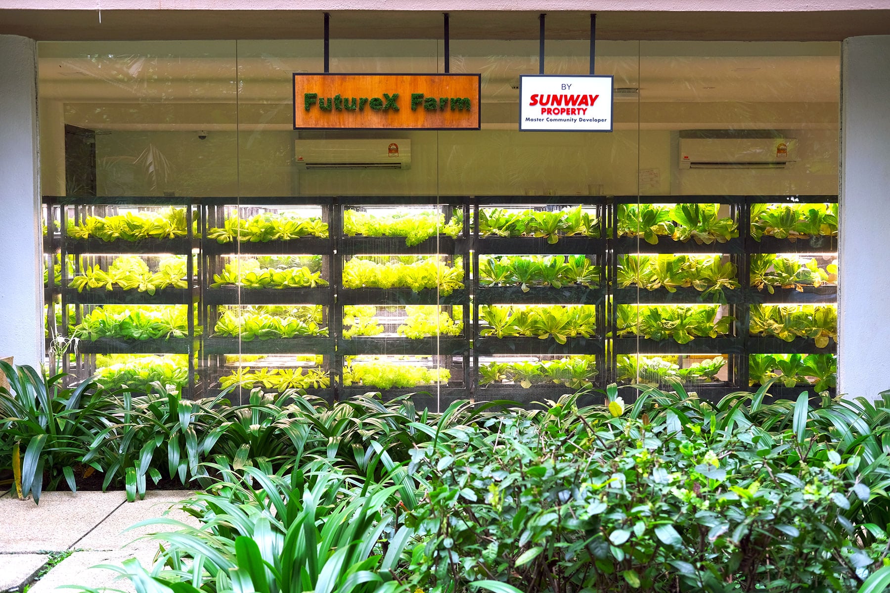 You can also find an indoor hydroponics farm here!