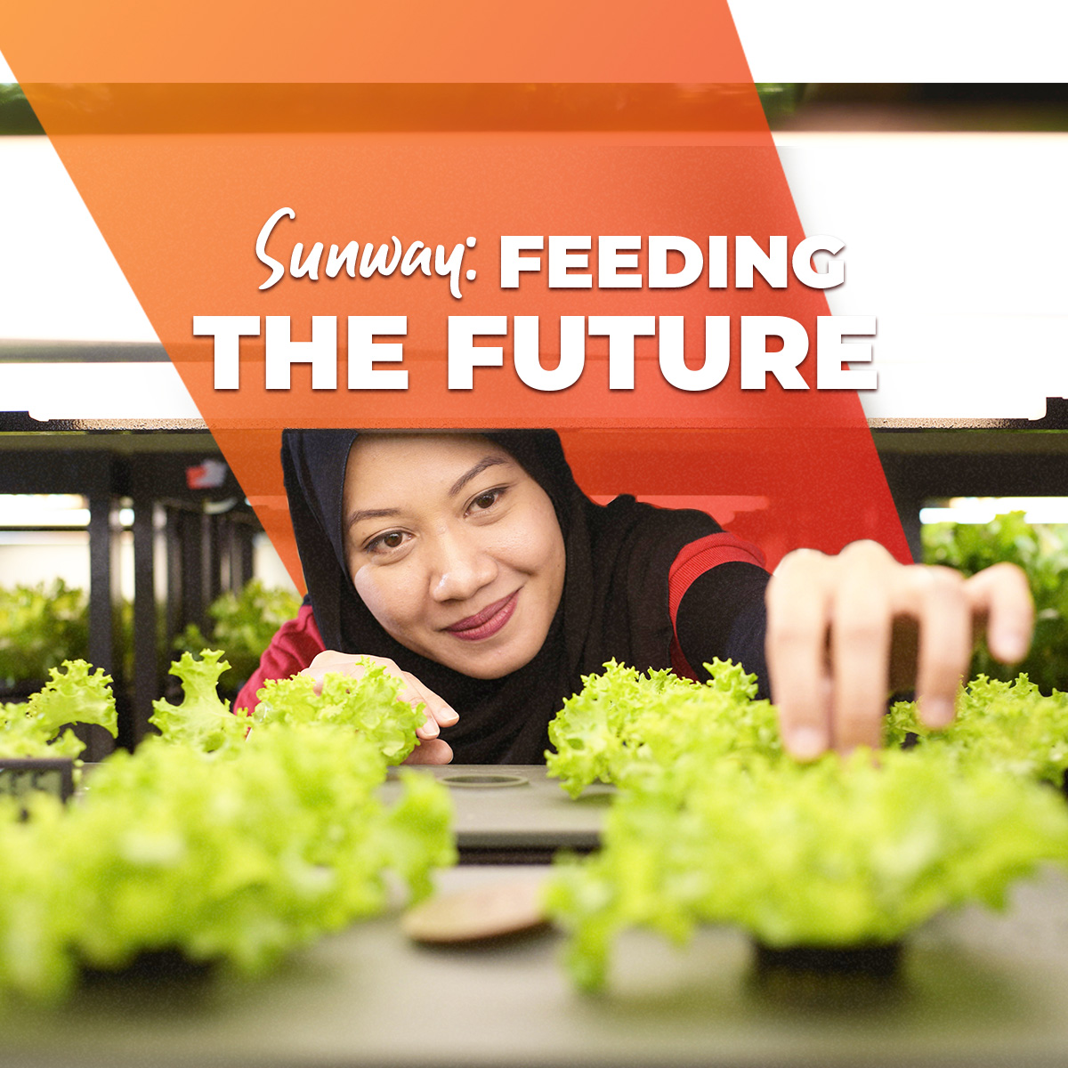 Sustainable Living Made Easy With Sunway XFarms