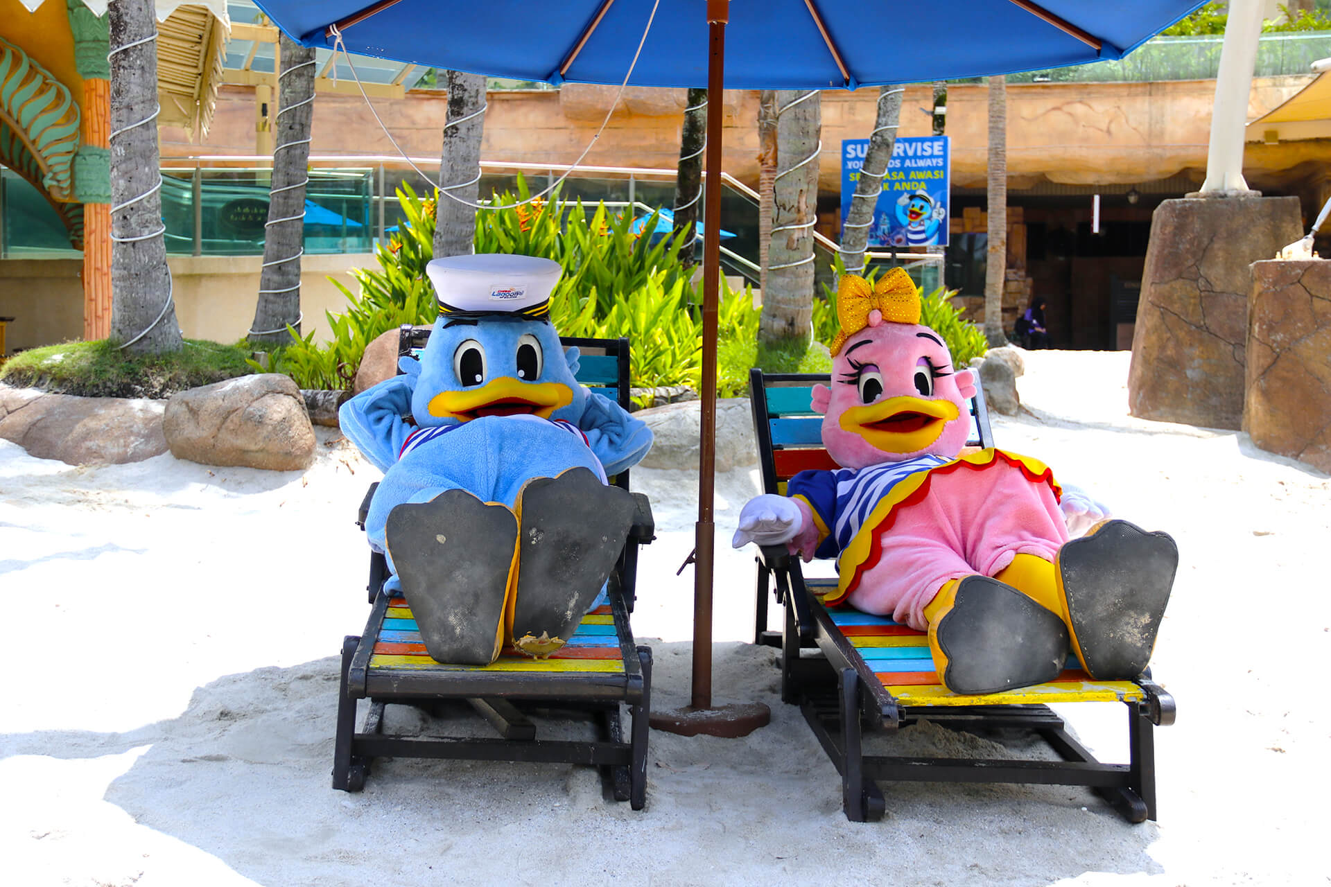 Captain Quack and Lady Quack are your custodians of splashy shenanigans at Sunway Lagoon
